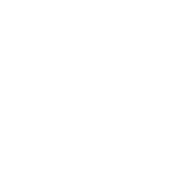 5DMXCORP